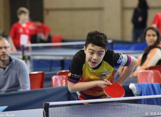 phoca_thumb_l_img_2668