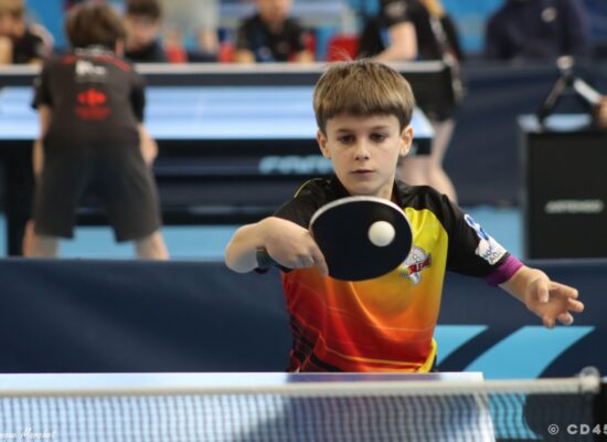 phoca_thumb_l_img_2731