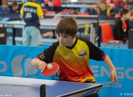 phoca_thumb_l_img_2769