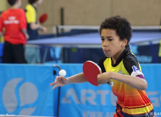 phoca_thumb_l_img_2876