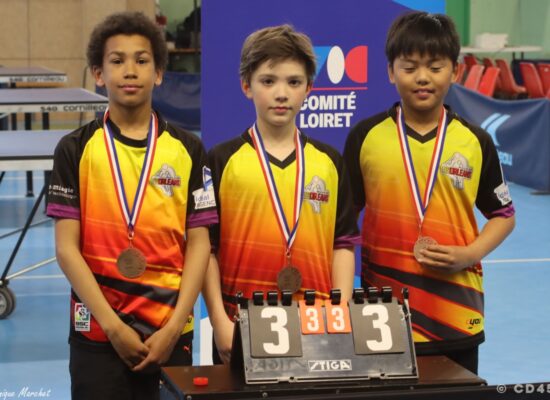 phoca_thumb_l_img_3035