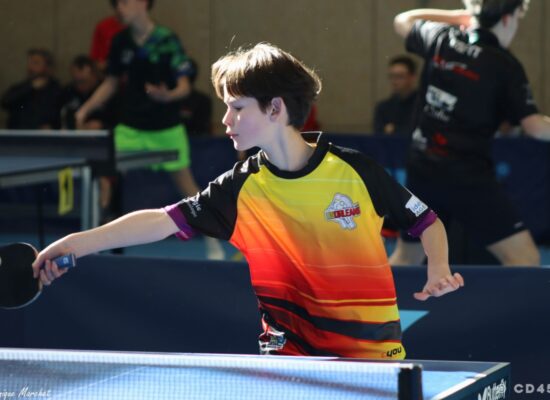 phoca_thumb_l_img_3081