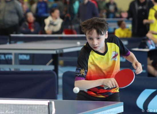 phoca_thumb_l_img_3101