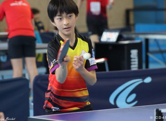 phoca_thumb_l_img_3124