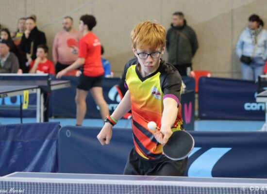 phoca_thumb_l_img_3211